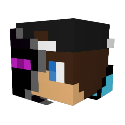 Titan1241 Minecraft avatar head, 3D render