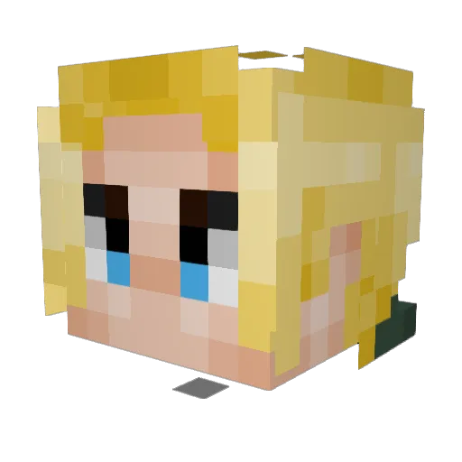 Titan495 Minecraft avatar head, 3D render