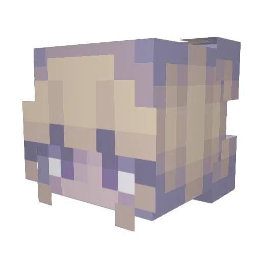 Titania99 Minecraft avatar head, 3D render