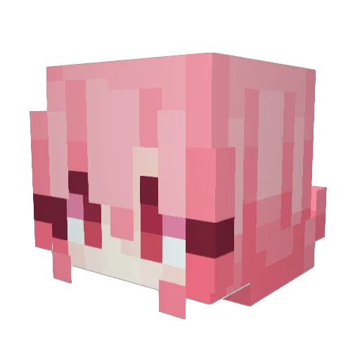 TitaniaXII Minecraft avatar head, 3D render