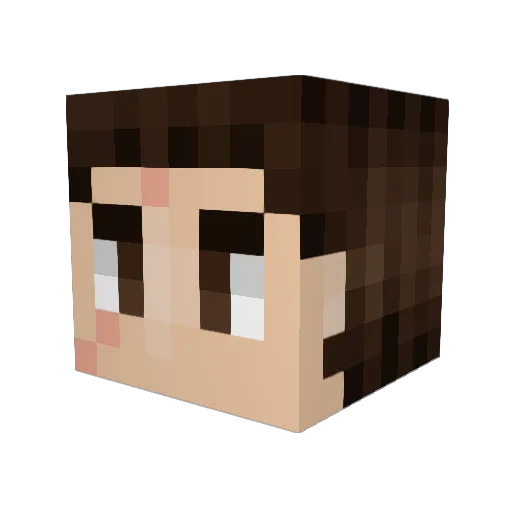 TitaniumGamer324 Minecraft avatar head, 3D render