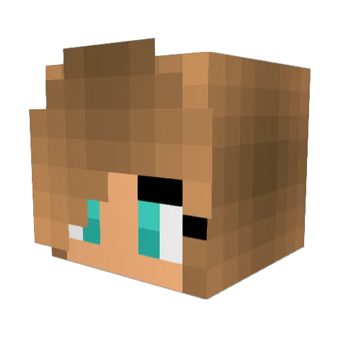 TitansMan1234 Minecraft avatar head, 3D render