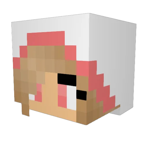 Tite_Flo Minecraft avatar head, 3D render