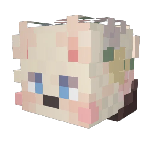 Titi2014 Minecraft avatar head, 3D render