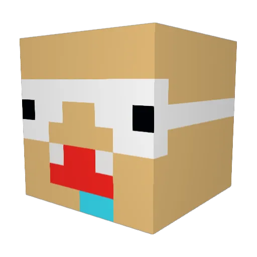 TitiCraft91 Minecraft avatar head, 3D render