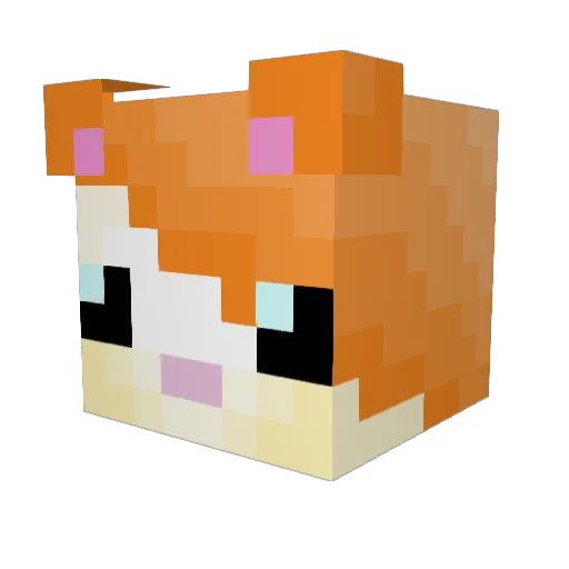 Titidu26 Minecraft avatar head, 3D render