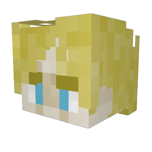Tito_Bean Minecraft avatar head, 3D render