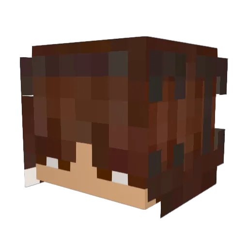 Titoonboss Minecraft avatar head, 3D render