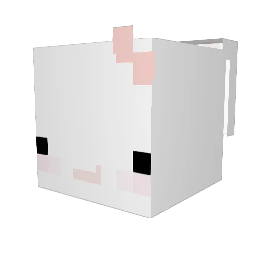 Titou2804 Minecraft avatar head, 3D render