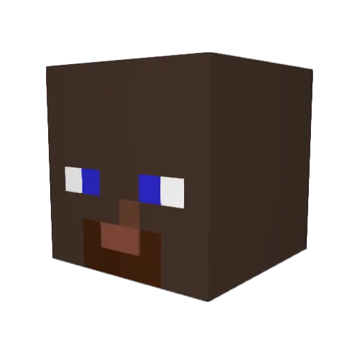 Titouan54 Minecraft avatar head, 3D render