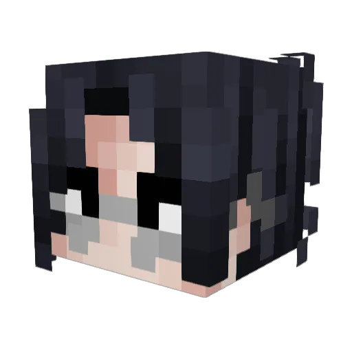Tittann Minecraft avatar head, 3D render