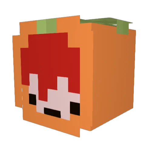 Titus2666 Minecraft avatar head, 3D render