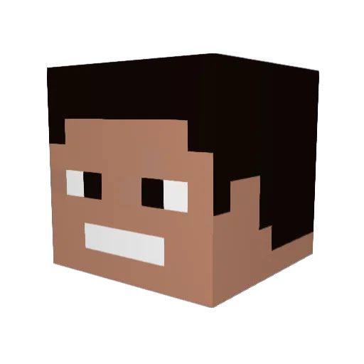 Titus347 Minecraft avatar head, 3D render