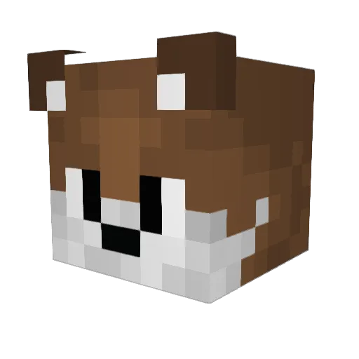 TitusLupus Minecraft avatar head, 3D render