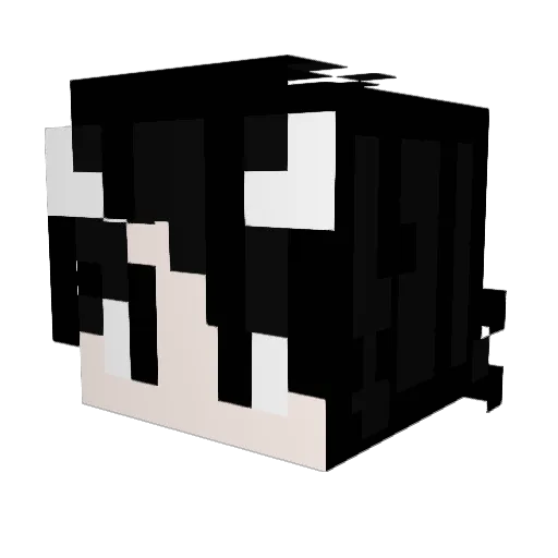 TiuIdate Minecraft avatar head, 3D render