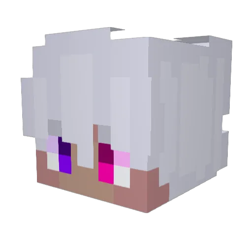 TiuToretto Minecraft avatar head, 3D render