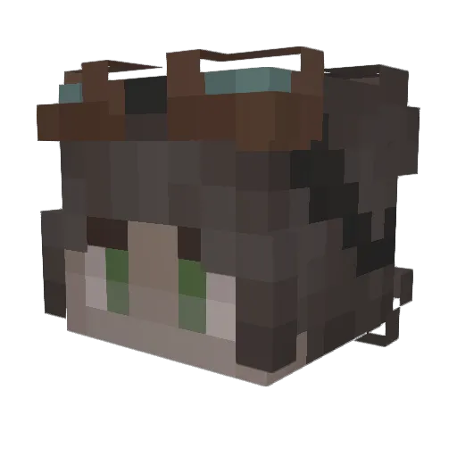 Tiurii Minecraft avatar head, 3D render