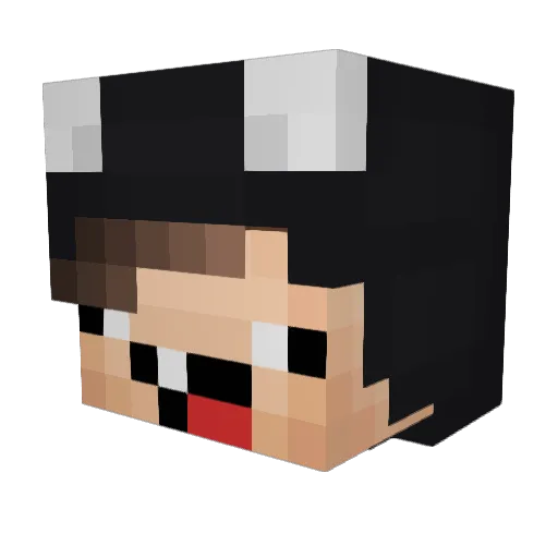Tiusam Minecraft avatar head, 3D render