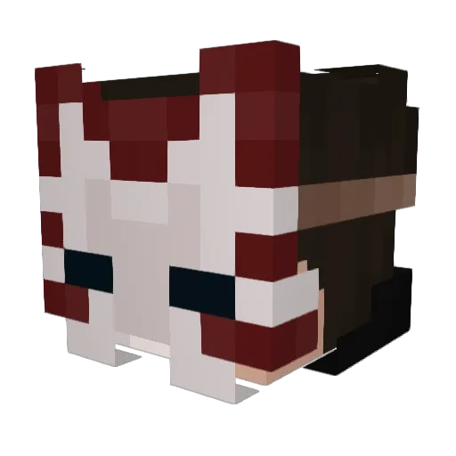 Tiv0o Minecraft avatar head, 3D render