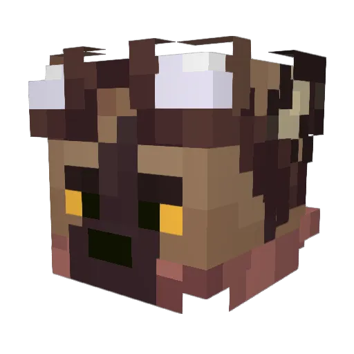 Tiwhy Minecraft avatar head, 3D render
