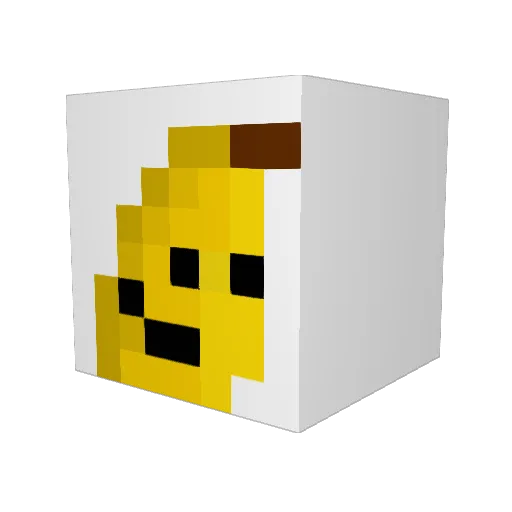 Tixi8 Minecraft avatar head, 3D render
