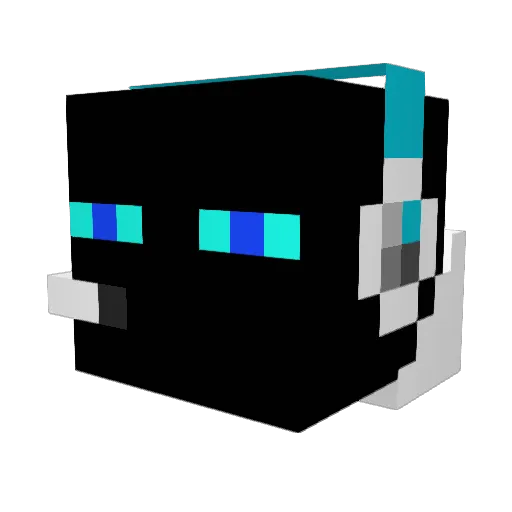 Tixxy47 Minecraft avatar head, 3D render