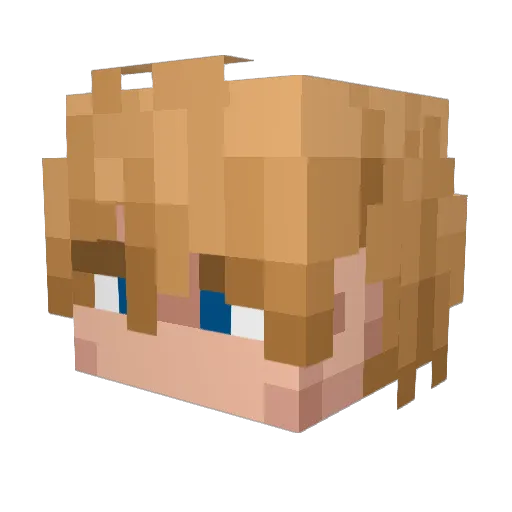 Tiyll Minecraft avatar head, 3D render