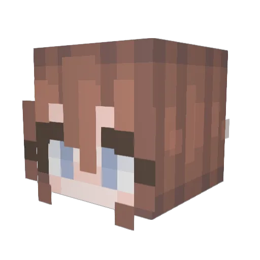 Tizay Minecraft avatar head, 3D render