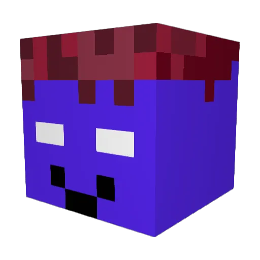 Tizi1234 Minecraft avatar head, 3D render