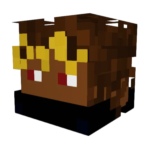 Tizo_king Minecraft avatar head, 3D render