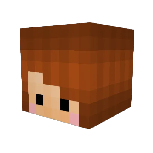 Tizzy_99 Minecraft avatar head, 3D render