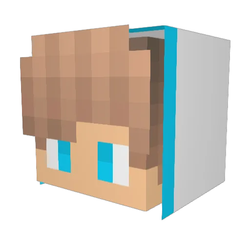 Tizzzly Minecraft avatar head, 3D render