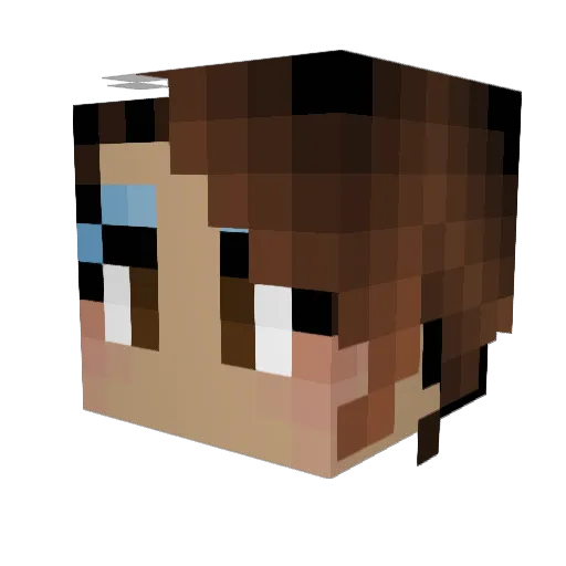 TjDj8416 Minecraft avatar head, 3D render