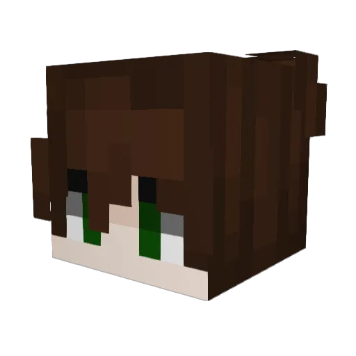 TjIsBetter10 Minecraft avatar head, 3D render