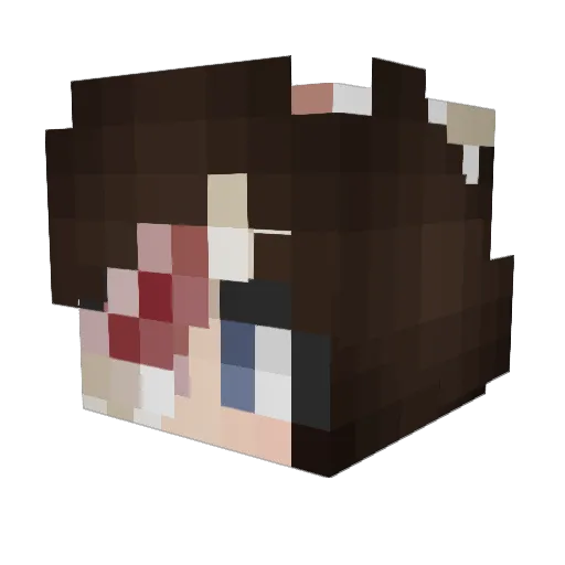 TjIsRandom Minecraft avatar head, 3D render