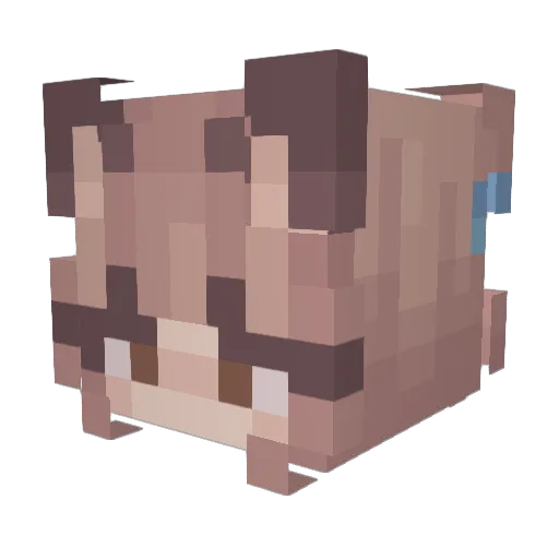 TjKjj Minecraft avatar head, 3D render