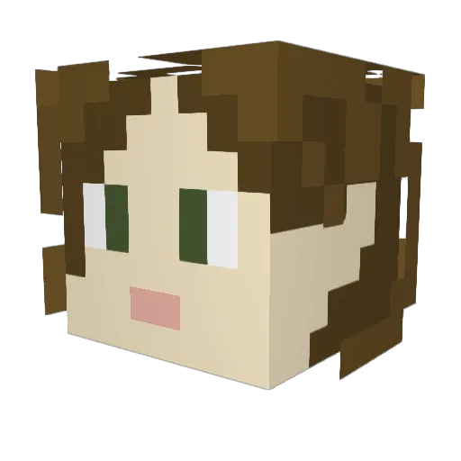 TjTauter4108 Minecraft avatar head, 3D render