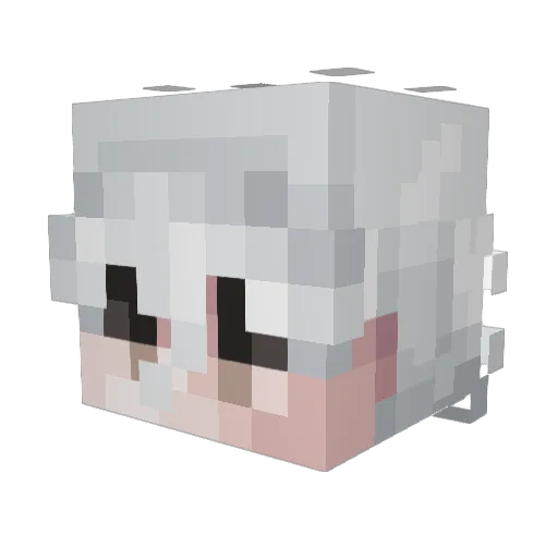 Tjakol Minecraft avatar head, 3D render