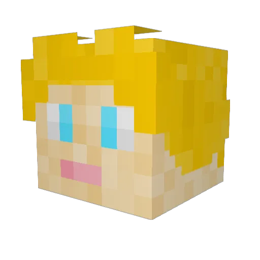 Tjemmerd Minecraft avatar head, 3D render