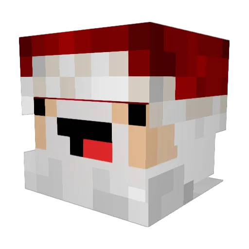 Tjemmetje Minecraft avatar head, 3D render