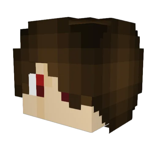 Tjhiggs06 Minecraft avatar head, 3D render