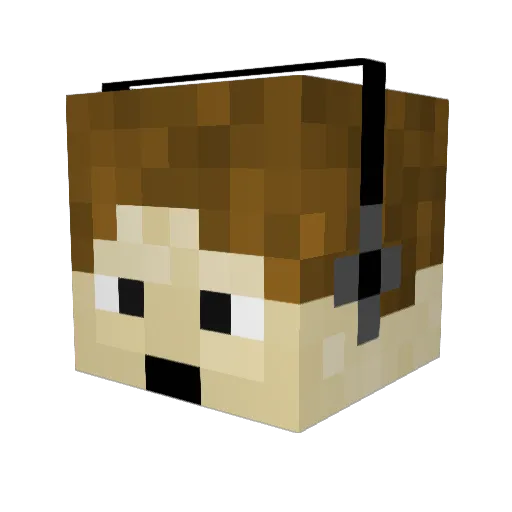 Tjillivipp Minecraft avatar head, 3D render