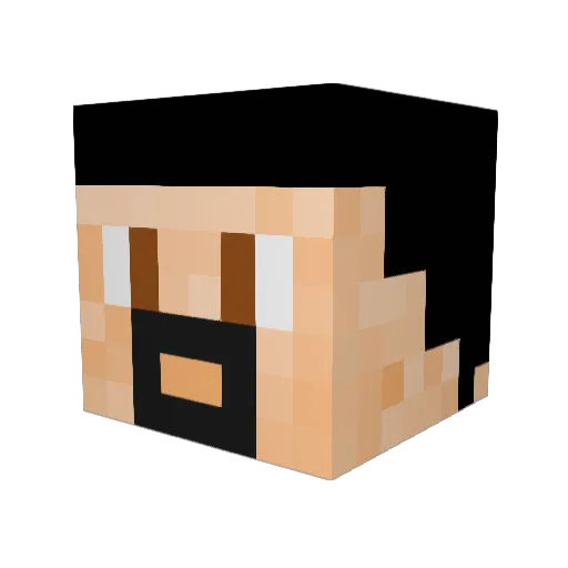Tjmoose1 Minecraft avatar head, 3D render