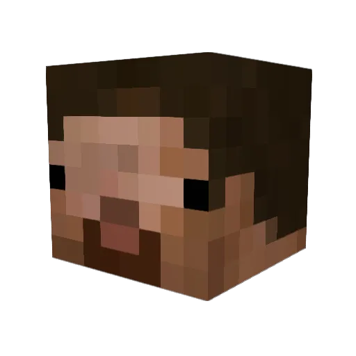 Tjoval Minecraft avatar head, 3D render