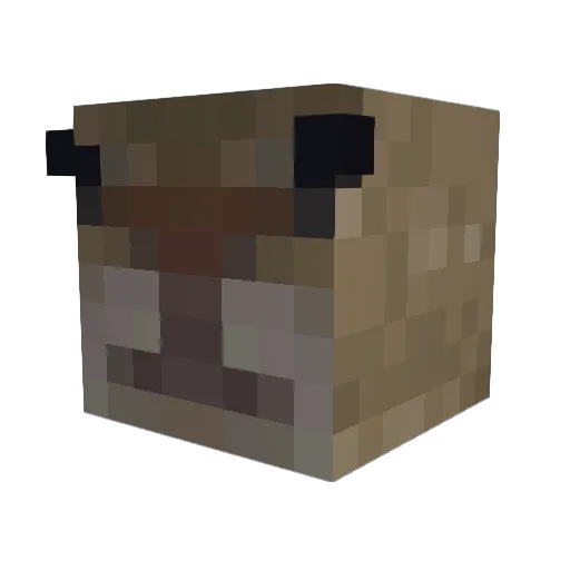 Tjuv Minecraft avatar head, 3D render