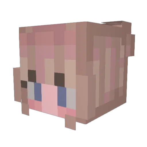 Tkanicka Minecraft avatar head, 3D render