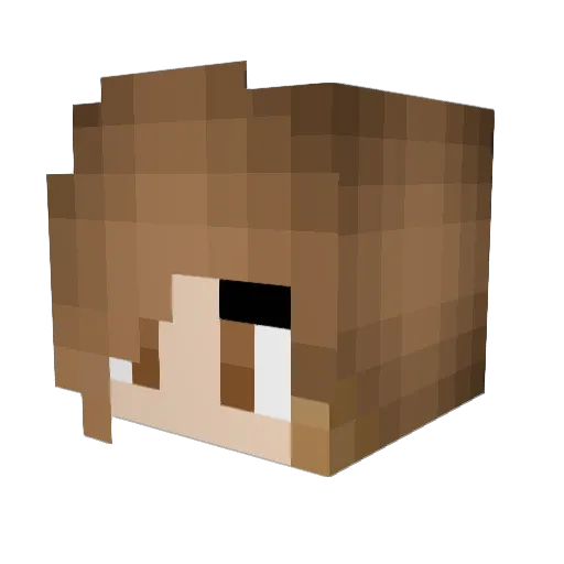 Tkdkrishna Minecraft avatar head, 3D render