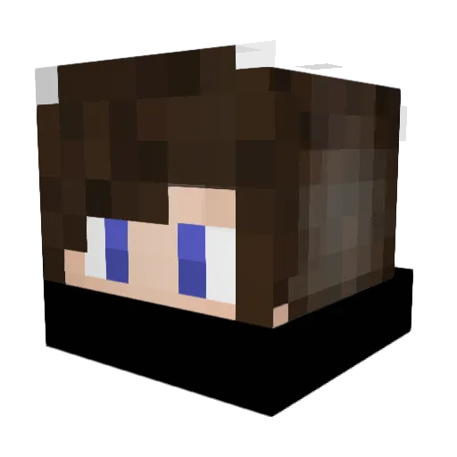 Tkdninja17 Minecraft avatar head, 3D render