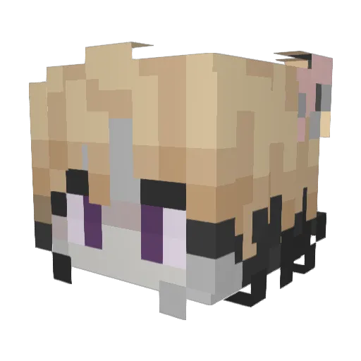 Tknga Minecraft avatar head, 3D render