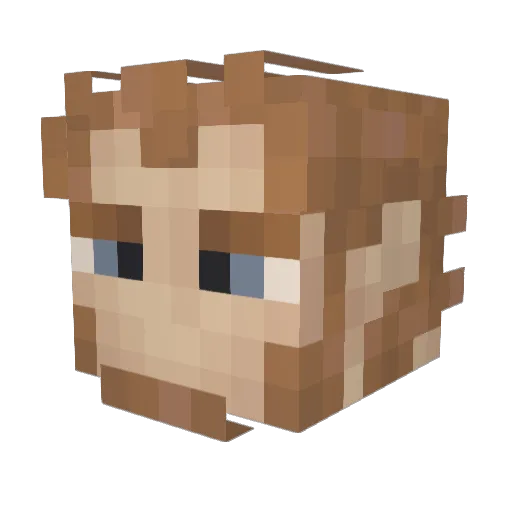 TlKHO Minecraft avatar head, 3D render
